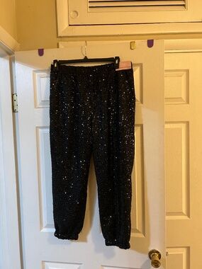 Ladies sequin pull on pants